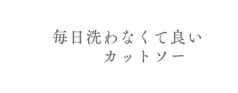 毎日洗わなくて良い カットソー